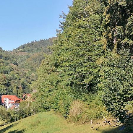 Huberhof Pfaffenbach Villa Gengenbach Kültér fotó