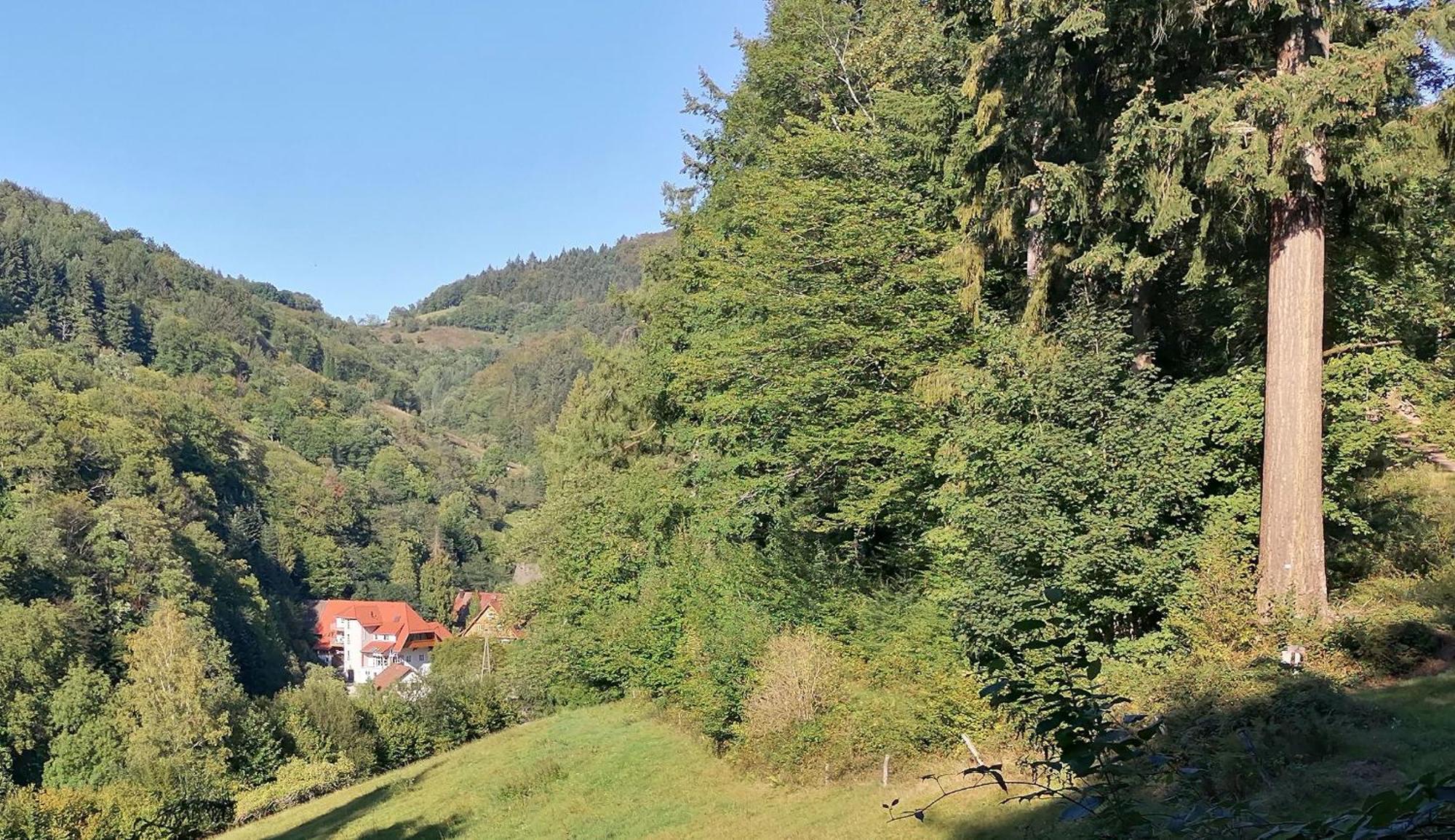 Huberhof Pfaffenbach Villa Gengenbach Kültér fotó