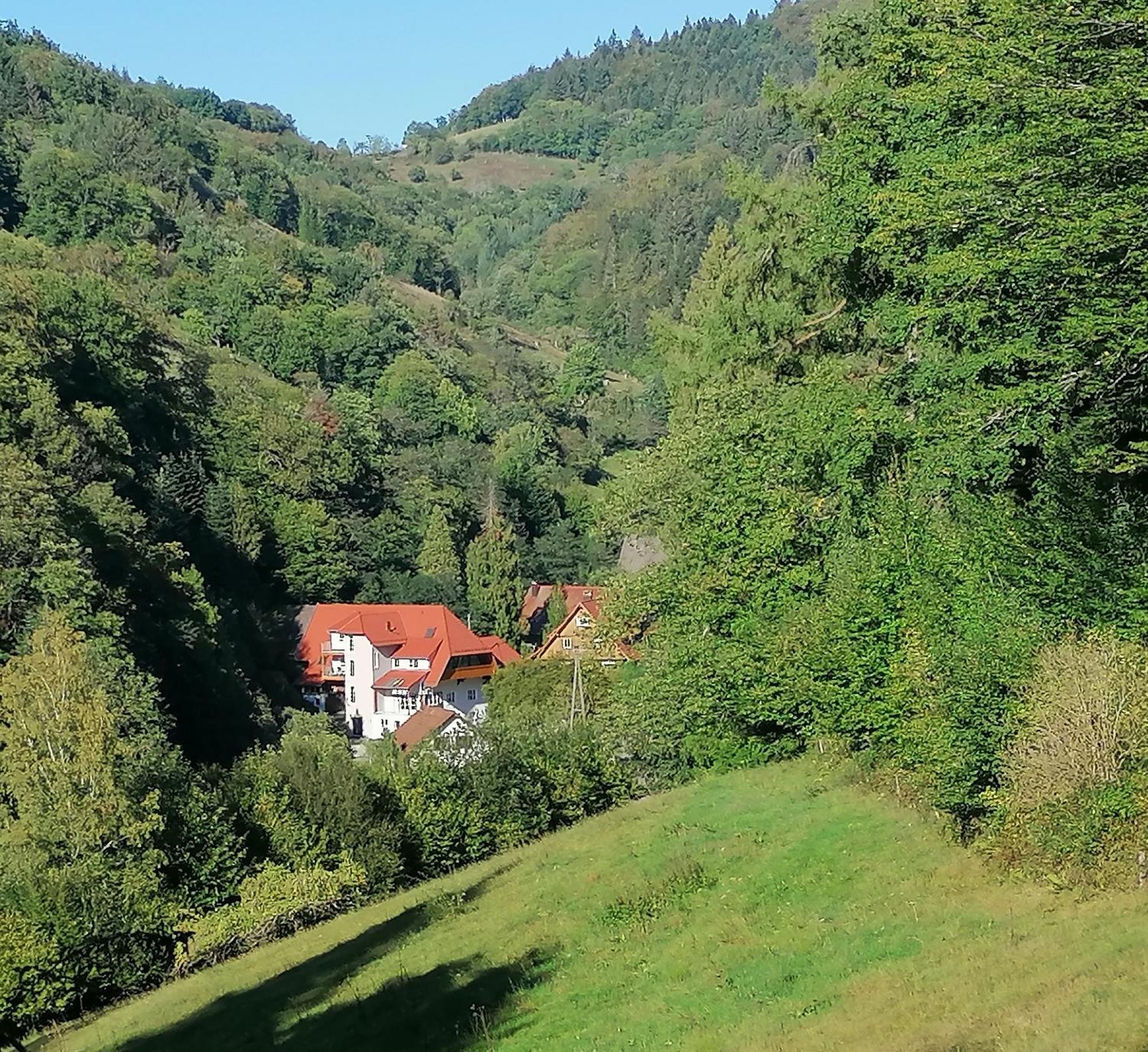 Huberhof Pfaffenbach Villa Gengenbach Kültér fotó